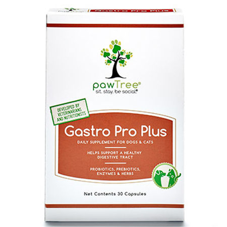 Gastro ProPlus